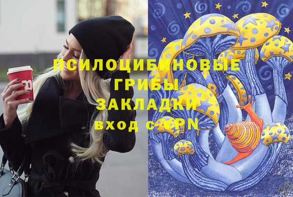 ПСИЛОЦИБИНОВЫЕ ГРИБЫ Верхнеуральск