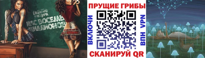 Купить закладки  Кирс  Галлюциногенные грибы GOLDEN TEACHER 